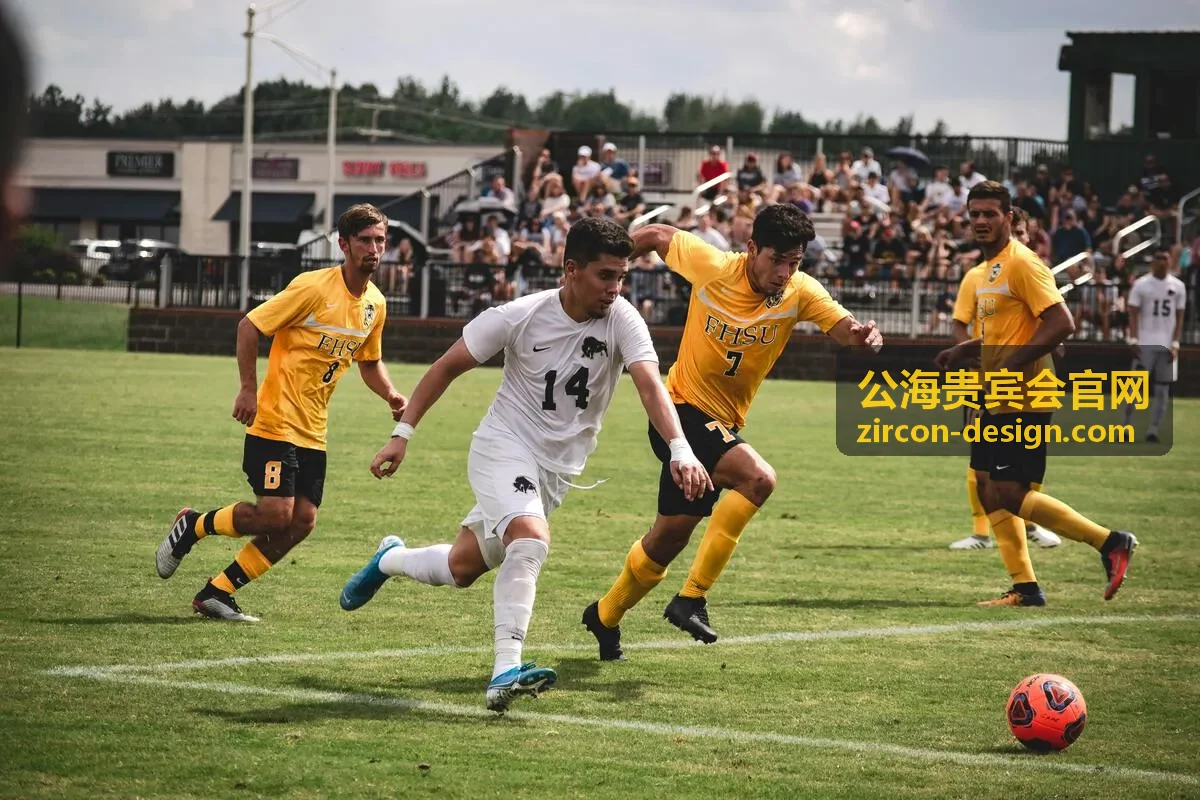 公海贵宾会安全图标